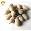 2020 New Crop High Quality Pecan Nuts